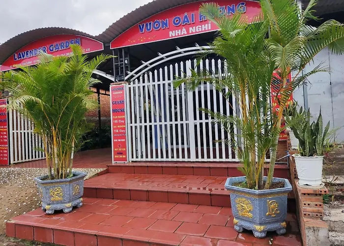 Nhà Nghỉ Vườn Oải Hương LAVENDER GARDEN GUEST HOUSE