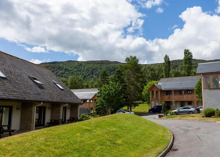 Scandinavian Village Ltd