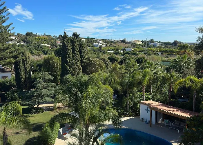 La Pina Verde