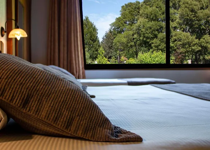 Hotel Pucon Green Park