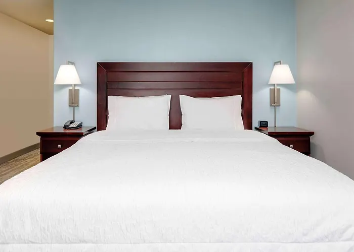 Hampton Inn & Suites Dallas-Arlington-South