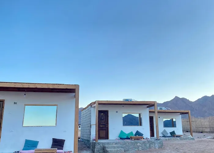 New Droub Camp