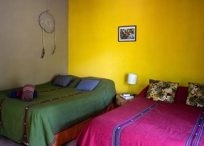 Alice Guesthouse