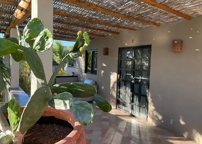 Pure Baja Private Suites-Upscale Property With Infinity Pool And Lush Gardens