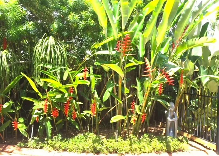 Aquatica - Luxe Holiday Home Palm Cove