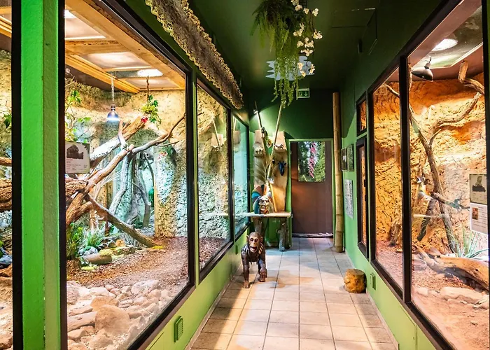 Aparthotel Tropenhaus Bansin