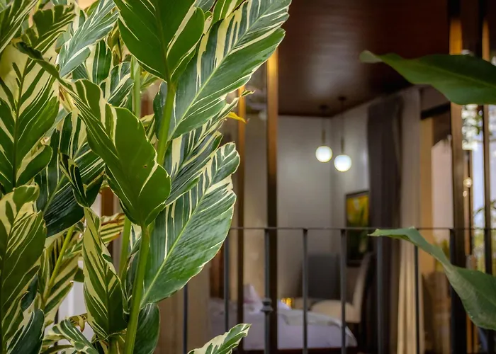Miradas Arenal Hotel & Hotsprings
