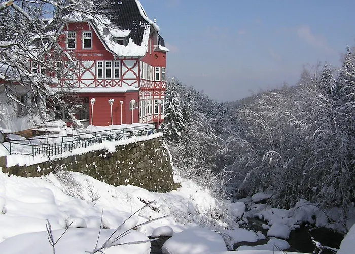Waldgasthaus & Berghotel Steinerne Renne