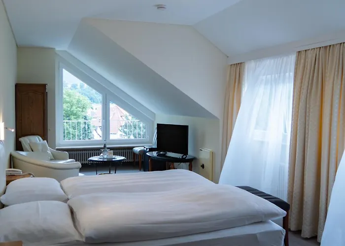 Hotel Sonne Eintracht Kg Achern