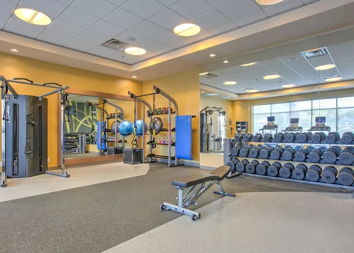 Hilton Garden Inn Dallas Arlington