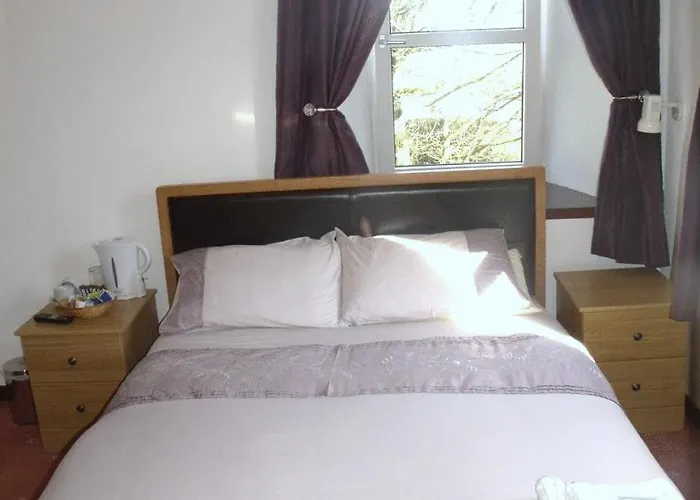 The Brown Trout Hotel