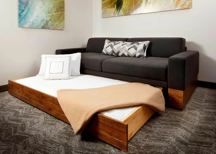 Springhill Suites By Marriott Pittsburgh Bakery Square