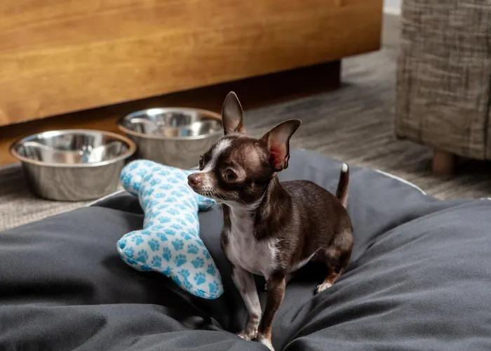 Element By Marriott Chattanooga East