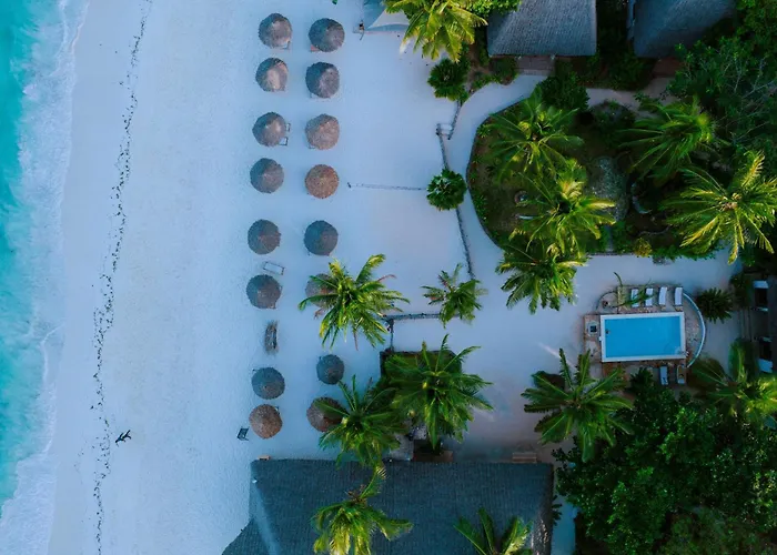 Mambo Ocean Resort