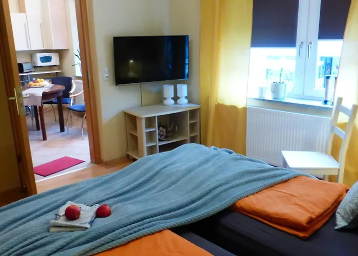 Kleines Studio Eisvogel