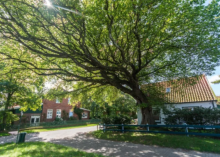 Arche Svea Kiebitz