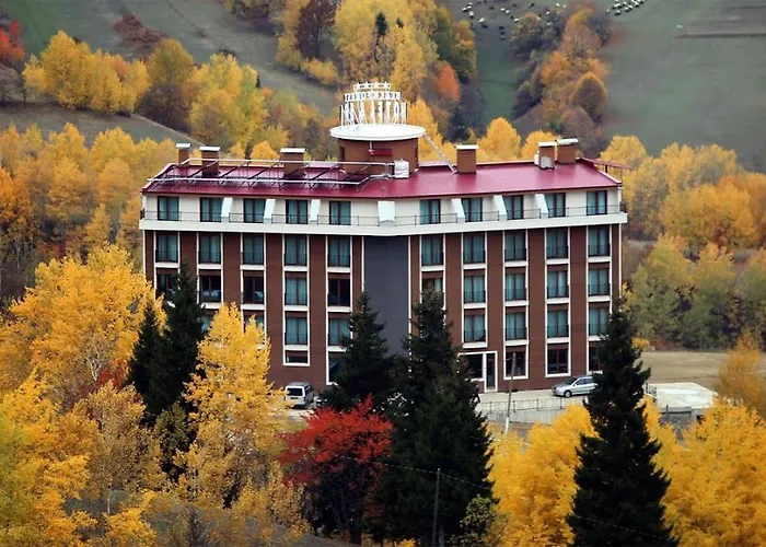 Black Forest Hotel