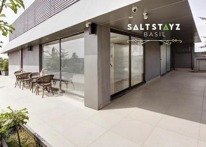 Saltstayz Basil - Near Golf Course Road & Extension Road