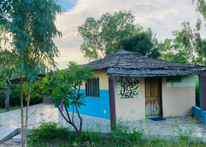 Les Calaos Du Saloum