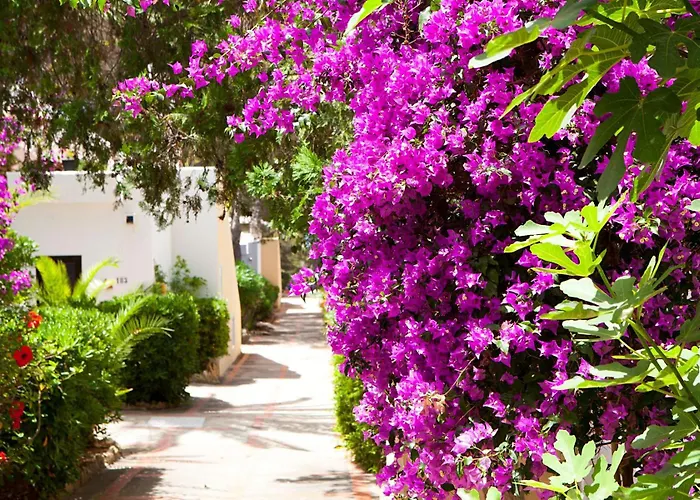 Club Cala Azul