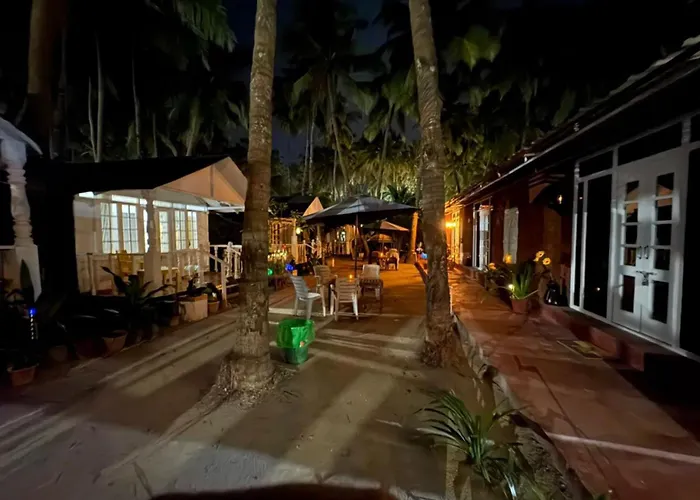 The Charming Nights