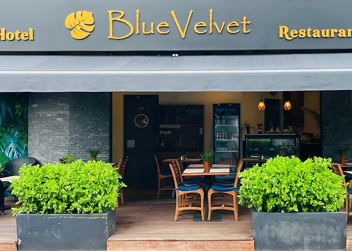 Blue Velvet