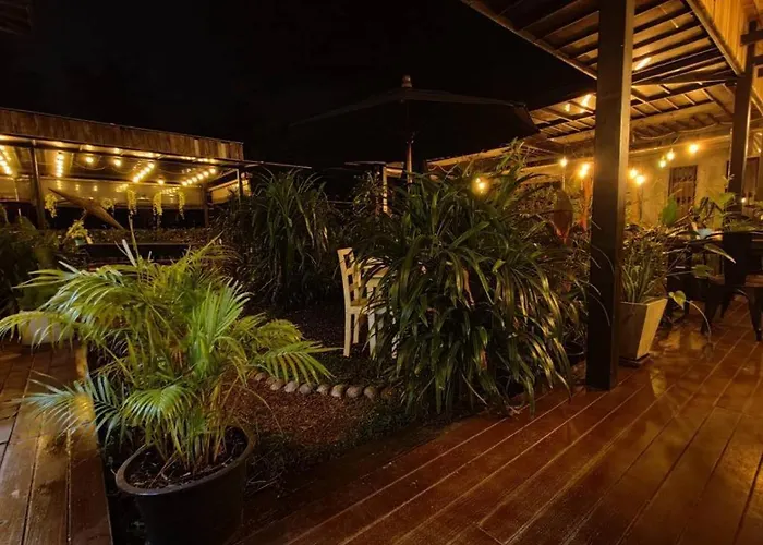 The Willow Phangan