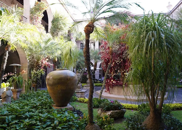Hotel De La Soledad
