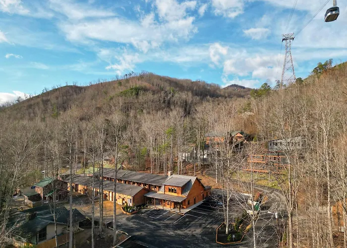 The Timber At Holly Branch