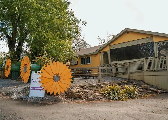 The Iris Motel