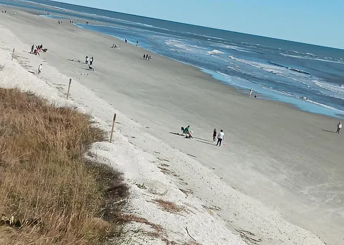 Shore Tails, Llc