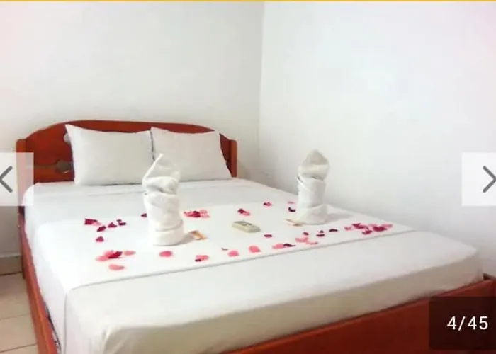 Perezoso Inn