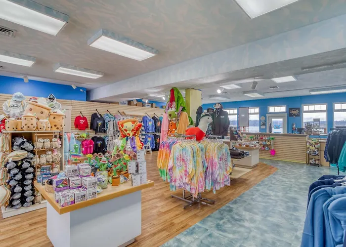 Surfer Dude - Anchor Pier Lodge