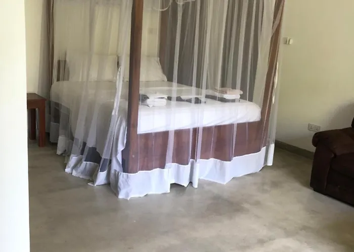 Hotel Paradiso,