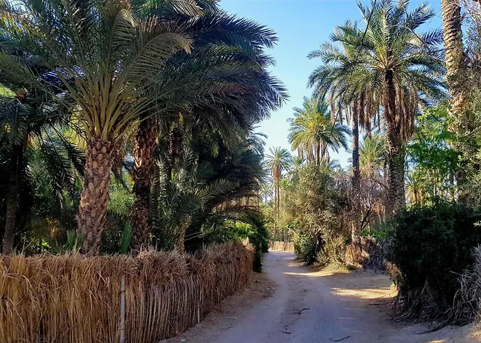 Dar Saida Beya