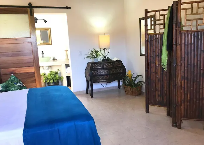 Casa Botanica
