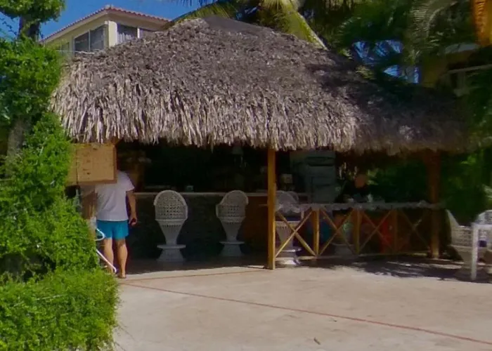 Las Palmeras By Graziano Boca Chica 