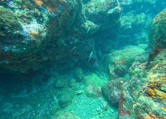 Hotel Bahia Aguacate