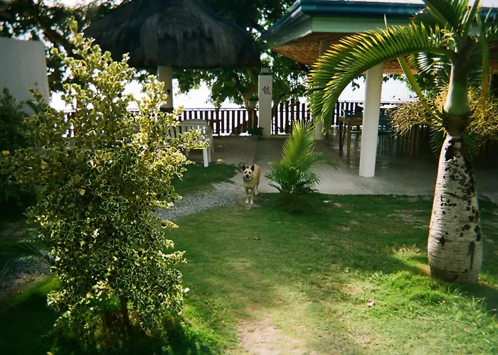 The Shuim Dive Resort Moalboal