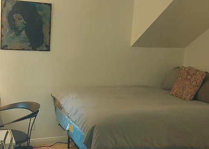 Ocean Front Vortex Female Hostel Private Rooms Free Bikes