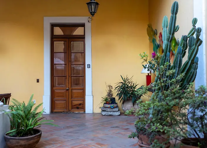 Casa Araiza