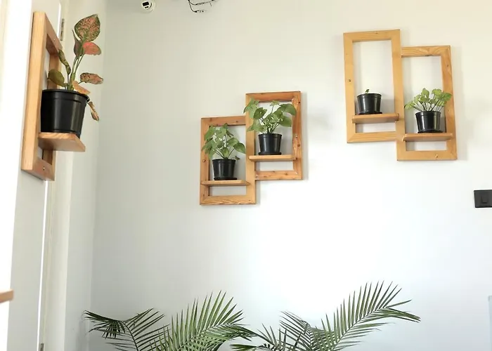Alpine Bnb Dharmshala Homestay