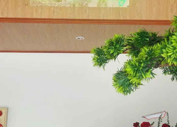 Bamboo Villa Homestay