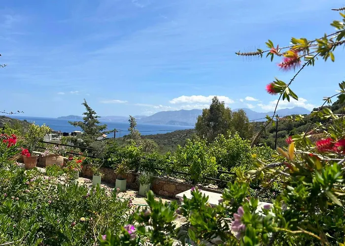 Fissi Villas Agritourism Accommodation Near The Sea
