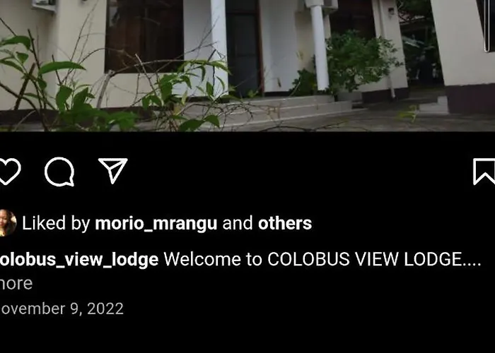 Colobus View Lodge