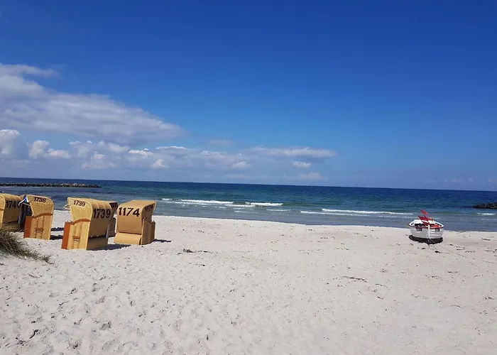 FeWo Backboard mit eingez Garten direkt am Hundestrand