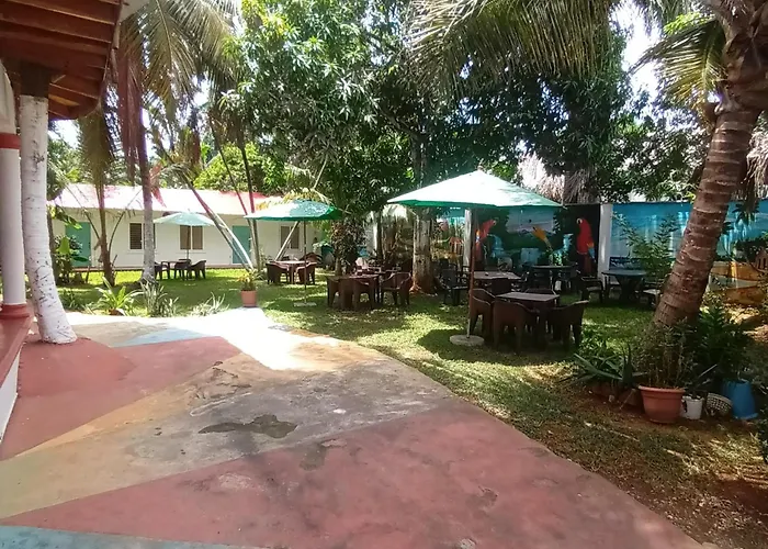 El jardín del coco