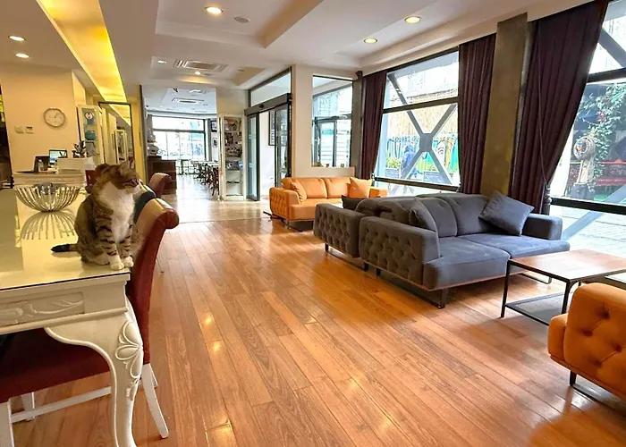 Hotellino Provincia di Istanbul