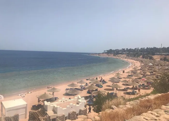 Coral Sultan 3 Private