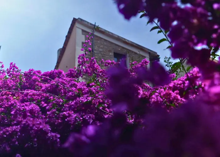 Casa Bougainvillea